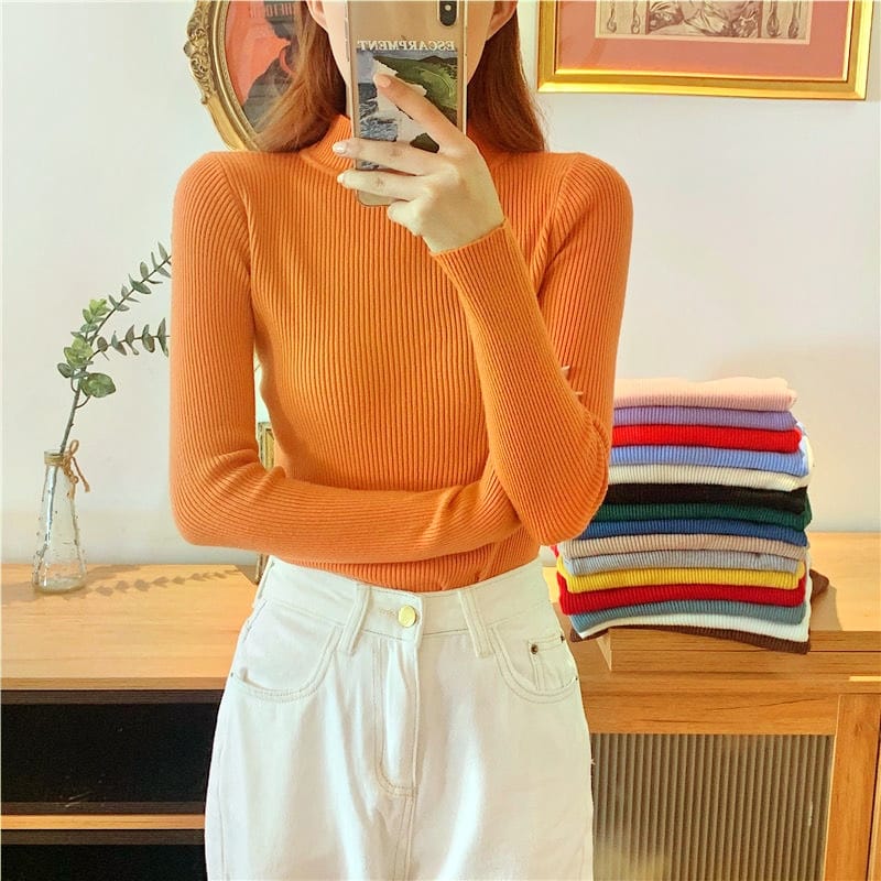 Women Turtle neck full sleeves knitted Blouse/Top