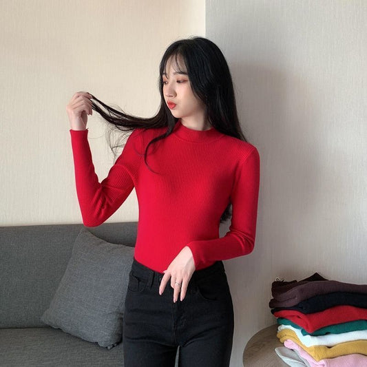 Women Turtle neck full sleeves knitted Blouse/Top