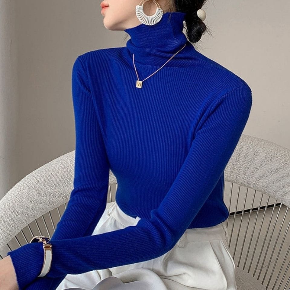 Women Turtle neck full sleeves knitted Blouse/Top