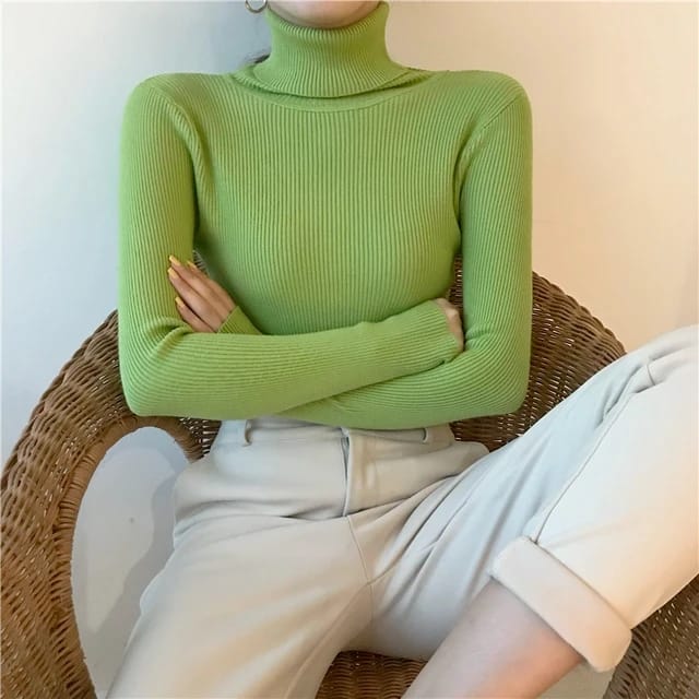 Women High neck full sleeves knitted Blouse/Top
